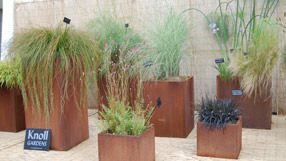 grasses_on_knoll_stand.jpg