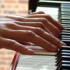 Nerina Pallot