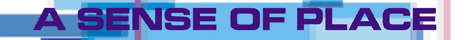 mini-banner-sop 