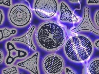 Simple organisms and lightning