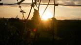 Devon sunset...