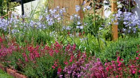 heather_border.jpg