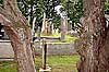 Shankill Graveyard, Lurgan Co.Armagh