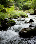 river