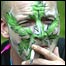 Marihuana bude přeřazena do kategorie nejměkčích nelegálních drog