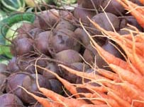 Fresh vegetables