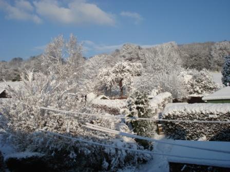 s1016.jpg