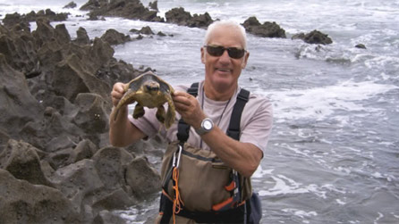 loggerhead.jpg