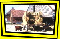 Farm