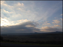 Bellever, Dartmoor