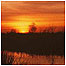 Heathland activities (Image: Peter Roworth adn Natural England)