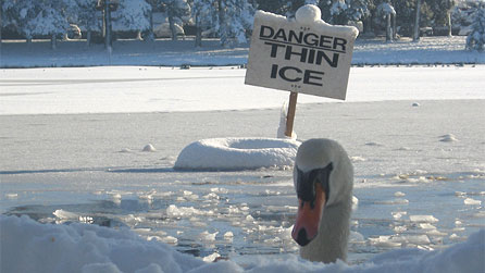 A danger sign for thin ice. Image by Jo Bird