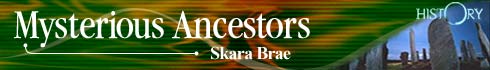 BBC - History