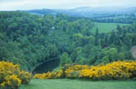 Photograph showing some rolling Scottiah hills