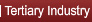 Tertiary Industry