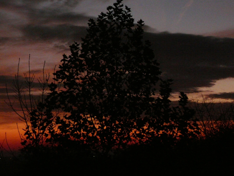 a sunset in Hungary