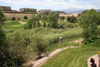 Manicured-Lawns