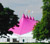 Pafiliwn yr Eisteddfod