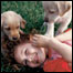 Criança com cachorros