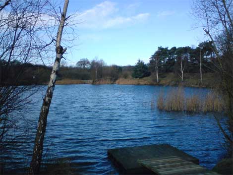 Fishery