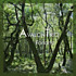 Review of Forlana Review of Forlana