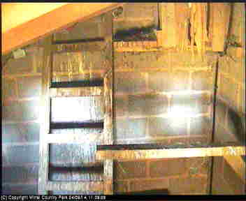 Owl cam