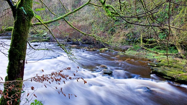 River Avon