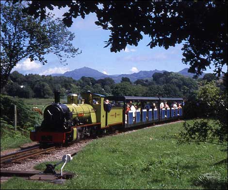 Photo gallery image