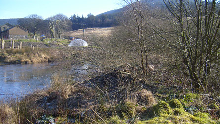 Beavers lodges 