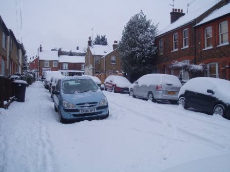 snowy15.jpg