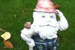 Gnome in search of home.