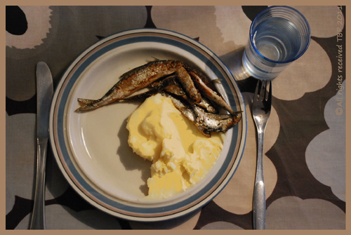 Lunch