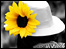 Sunflowers at the Cambridge Folk Festival 2009, photo by Nigel Cooke