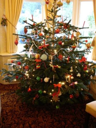 tree.JPG