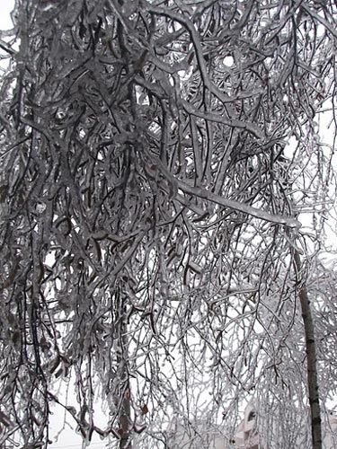 Icicles