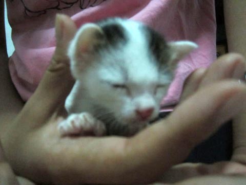 Sleepy