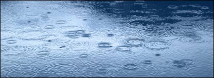 rain drops