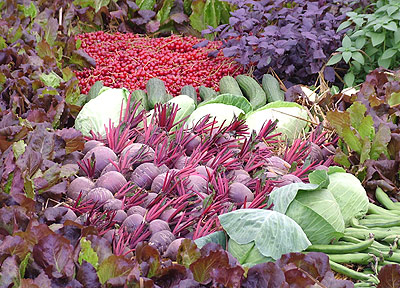 hampton_vegpic.jpg