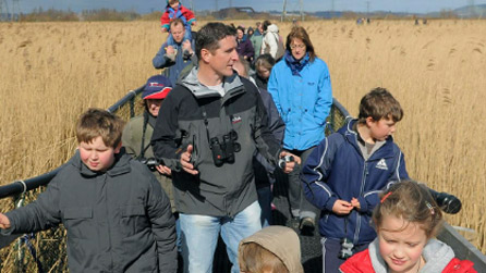 iolo_families.jpg