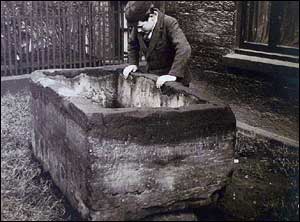 Stone Trough