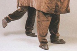 pantohorse.jpg