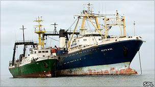 Trawlers