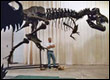 Stan the T-Rex
