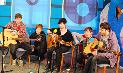 Foals