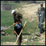 اشر در شهر ها