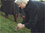 Pauline Causey planting bulbs