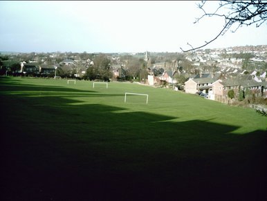 Beautiful field