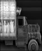 X-Ray picture of a van with stowaways