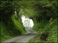 sunkenlane_203.jpg