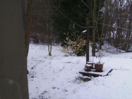 snowy24.jpg